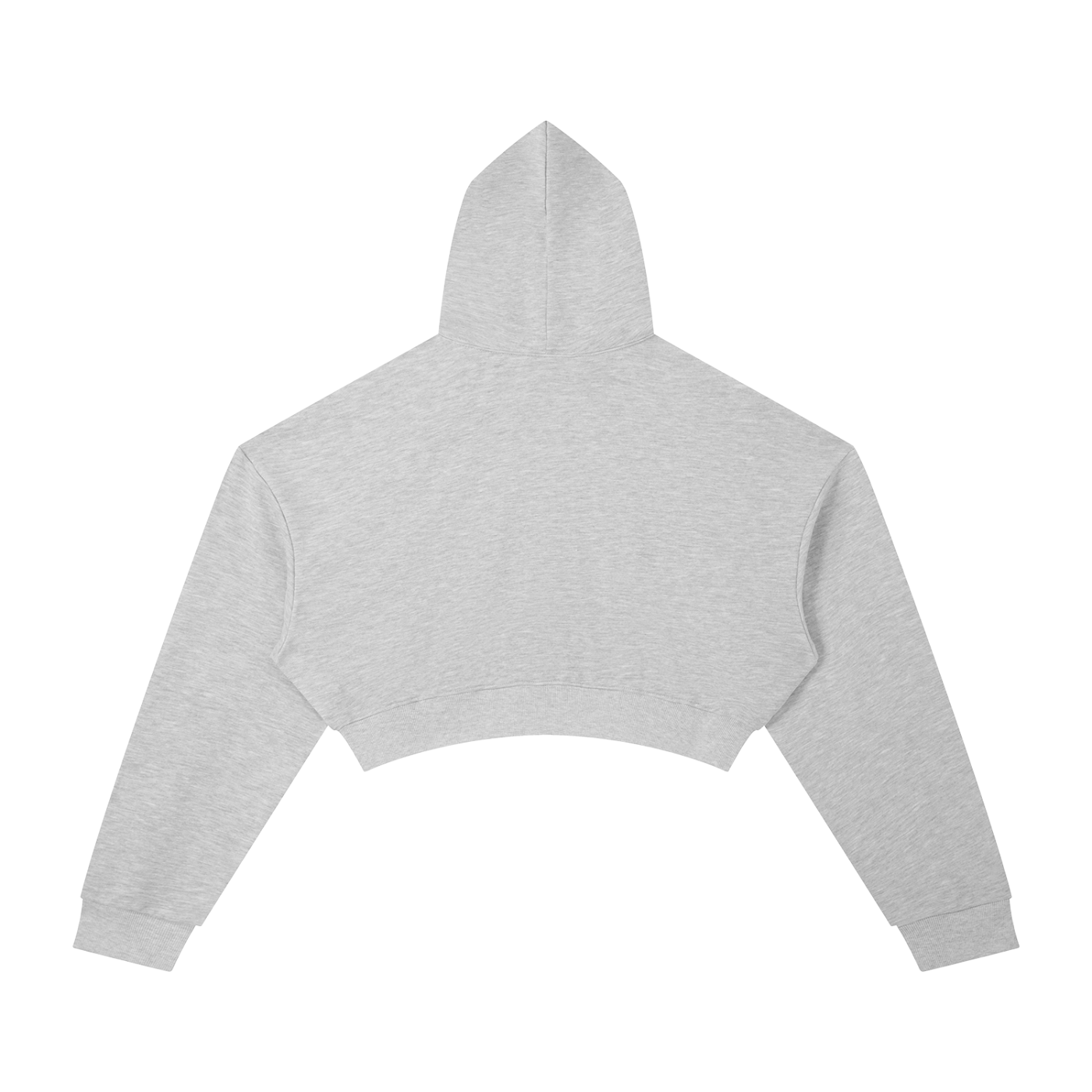 DepT. Cropped Hoodie