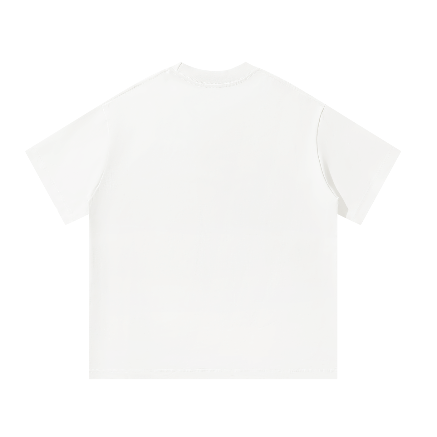 Flying Crain Oversized T-Shirt