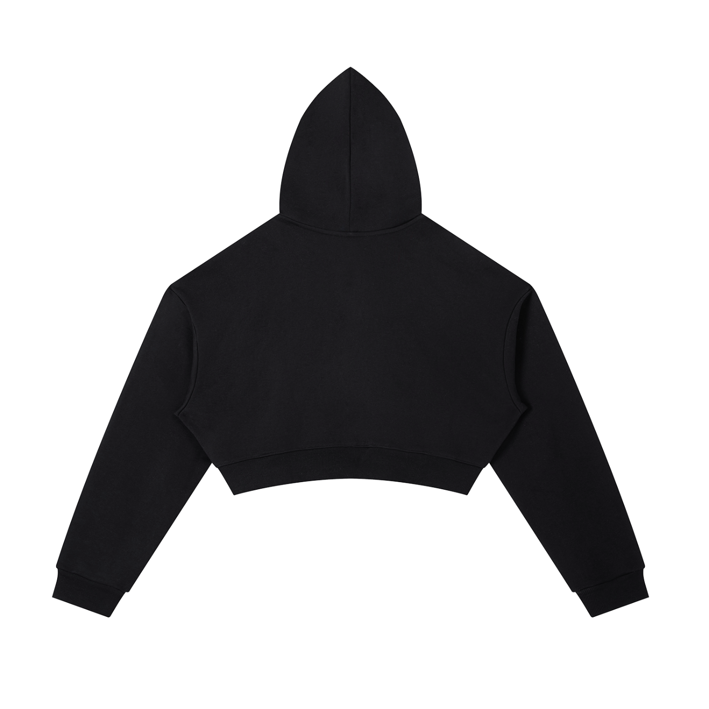DepT. Cropped Zip Hoodie