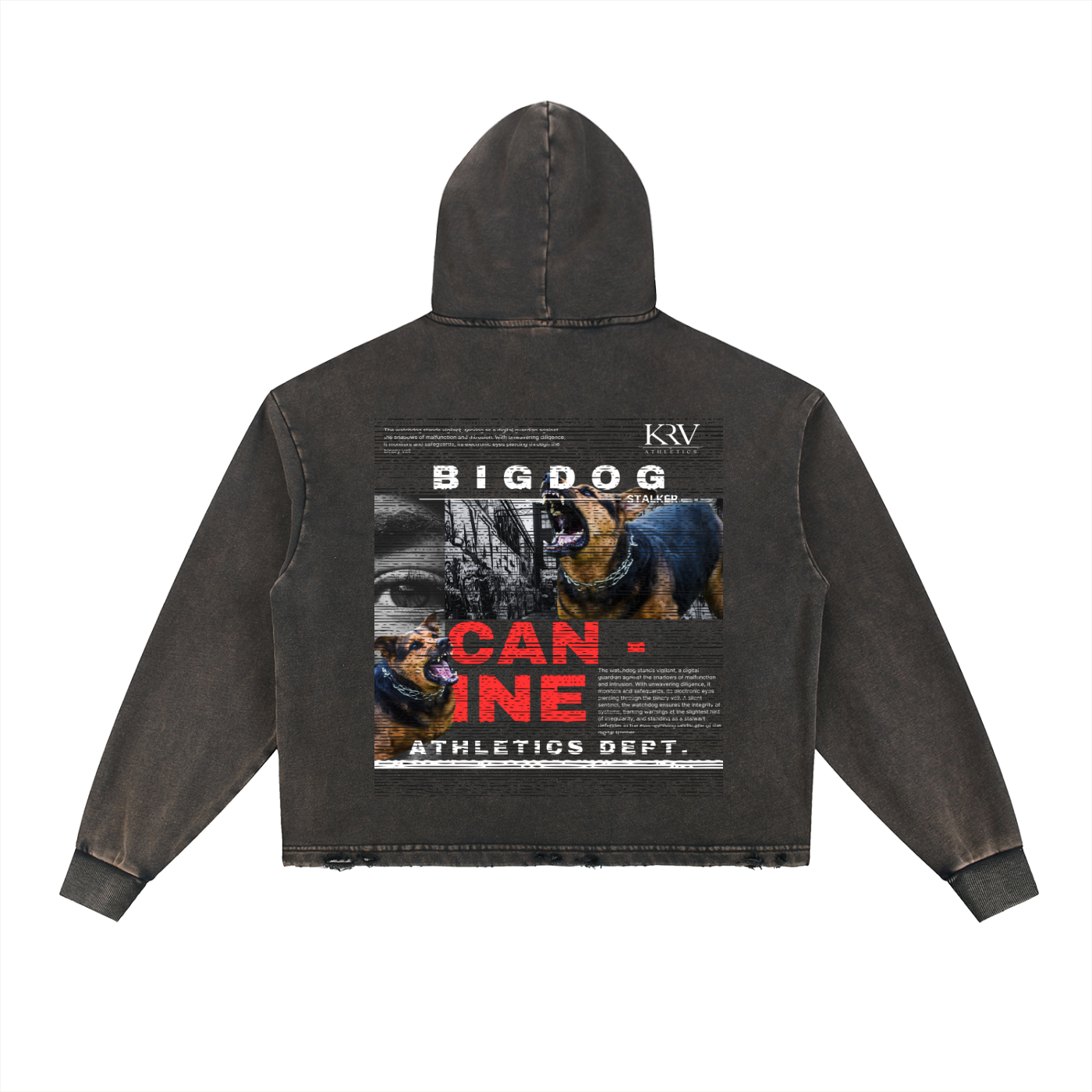Canine Washed Frayed-Hem Boxy Hoodie