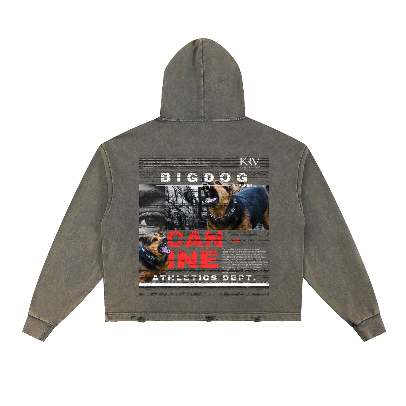 Canine Washed Frayed-Hem Boxy Hoodie